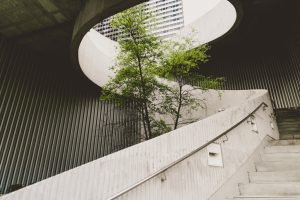 ETHOS MEIO AMBIENTE