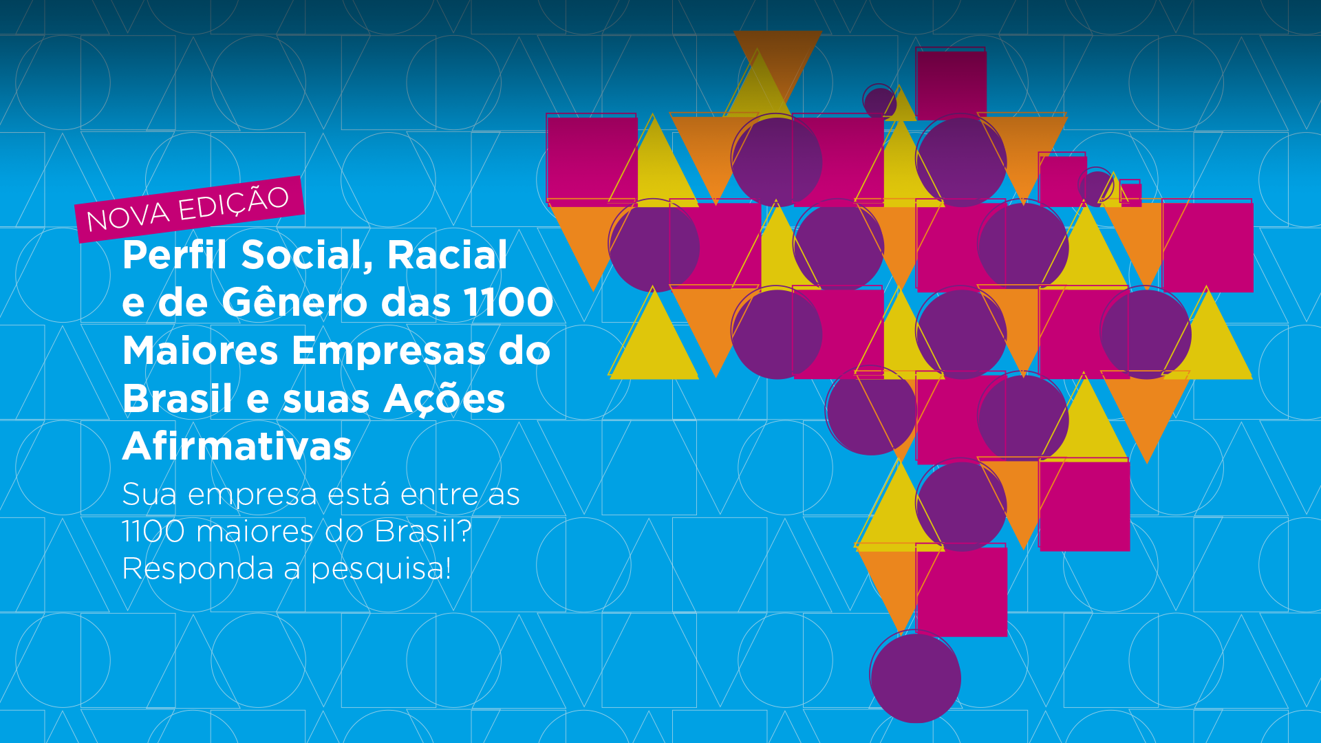 Perfil Social, Racial e de Gênero